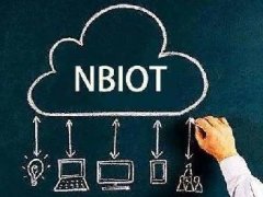 2021年中国NB-IoT产业全景图谱